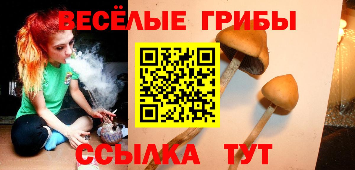 Галлюциногенные грибы мухоморы  Вход с VPN  наркота  Белебей 