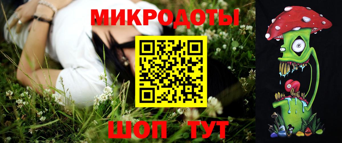 Галлюциногенные грибы Psilocybine cubensis Белебей